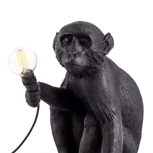 zbliżenie na lampkę małpę outdoor siedzącą