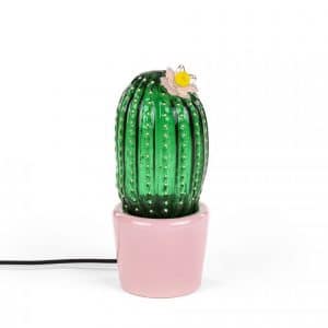 14591 lampa kaktus seletti desert sunrise